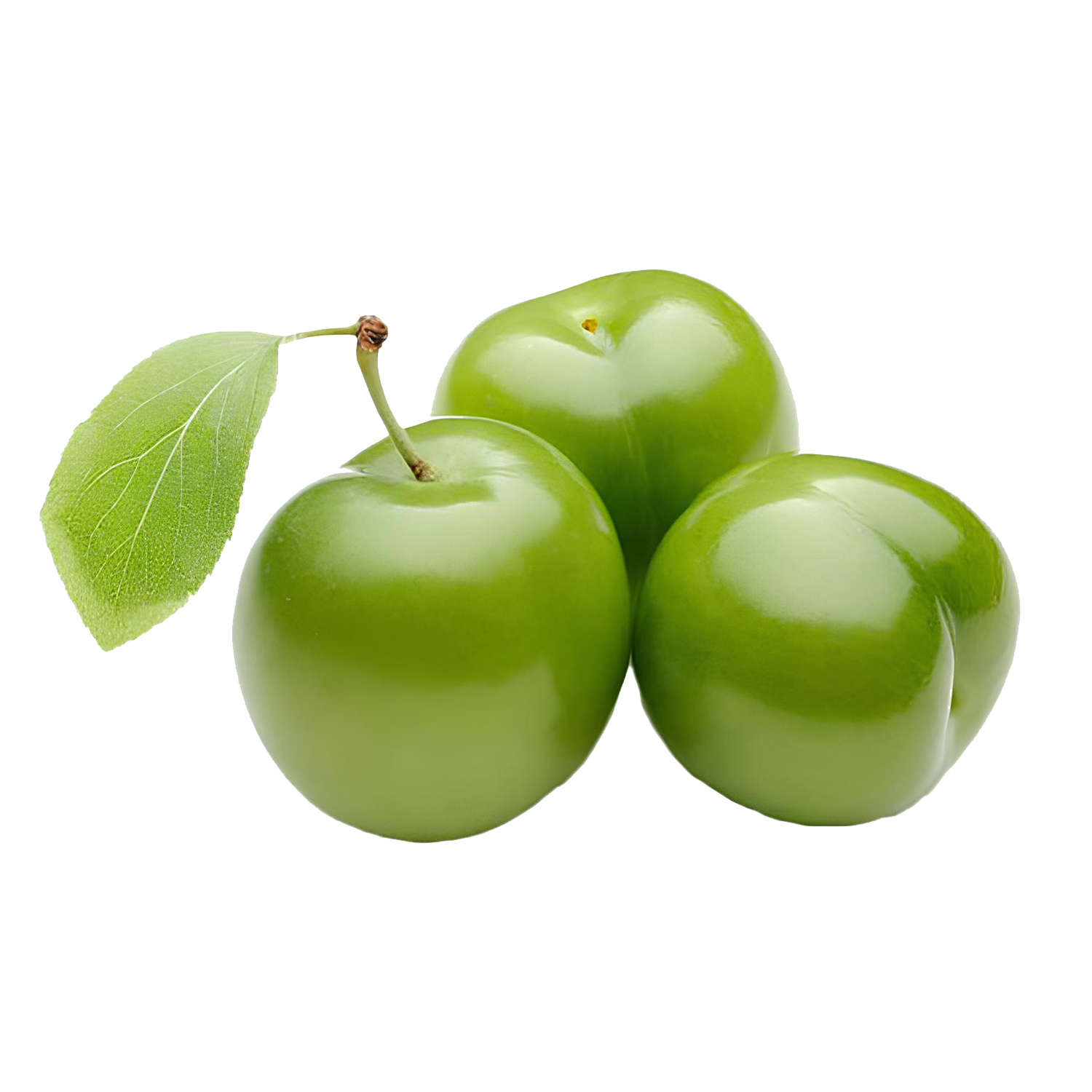 میوه‌های ریشه‌ای